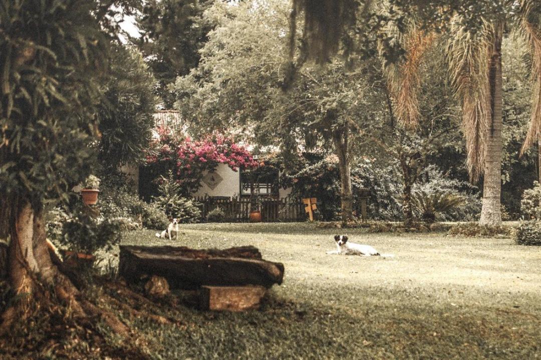 Morro Redondo Sitio Amorezaヴィラ エクステリア 写真